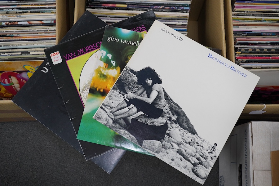 Approximately seventy-five LP record albums together with a few 12 inch singles, artists include; Gino Vannelli, Utopia, Judy Tzuke, Ry Cooder, Phil Collins, the Beach Boys, Asia, Joan Armatrading, Average White Band, Th